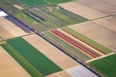 Güzel manzaralı uçaktan hava manzarası çiçek açan tarlalar