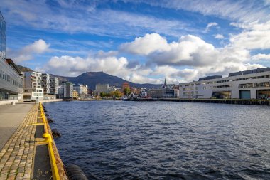 Norveç limanı manzaralı harika bir kasaba Bergen.