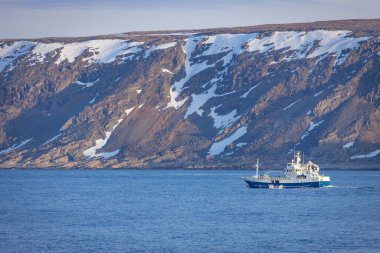 Deniz limanında iş gemisi 