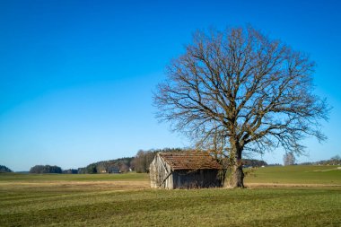 Avusturya 'nın Oberoesterreich kentindeki Irrsee' de harika bir dinlenme yeri.