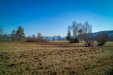 Avusturya 'nın Oberoesterreich kentindeki Irrsee' de harika bir dinlenme yeri.