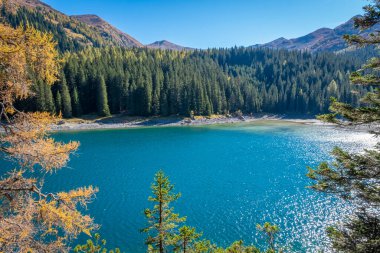 Göl ve ormanlı güzel dağ manzarası