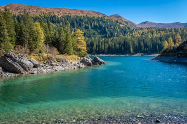 Göl ve ormanlı güzel dağ manzarası