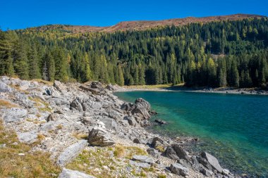 Göl ve ormanlı güzel dağ manzarası