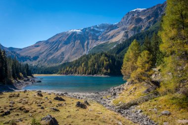 Göl ve ormanlı güzel dağ manzarası
