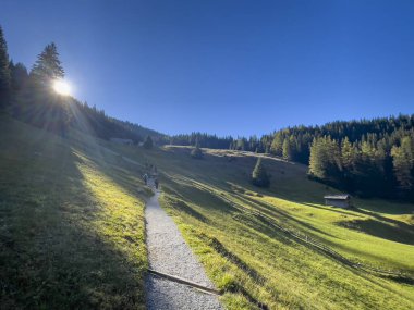 Yollu güzel dağ manzarası