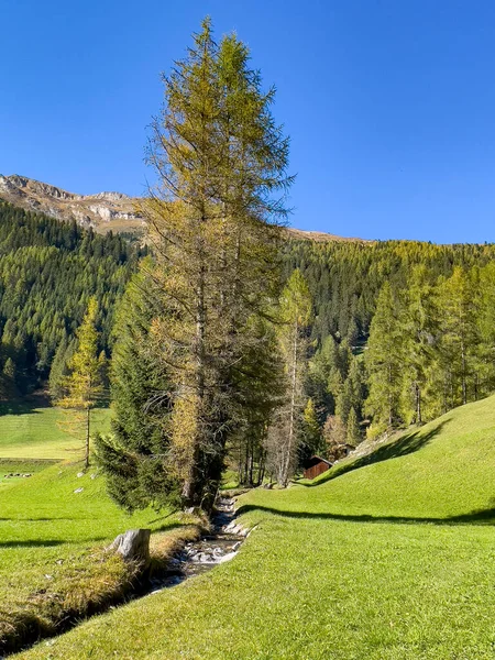 Güzel Dağ Manzarası Ile Orman — Stok fotoğraf