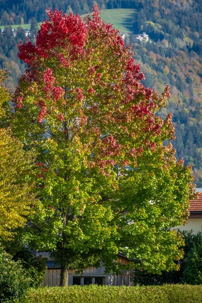 秋天的山水 — 图库照片