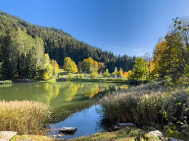 Göl ve ormanlı güzel bir manzara.