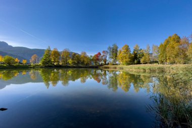 Göl ve ormanlı güzel bir manzara.