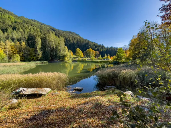 Göl ve ormanlı güzel bir manzara.