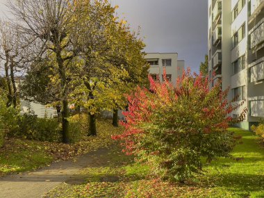 Sonbahar mevsiminde şehir bahçesi