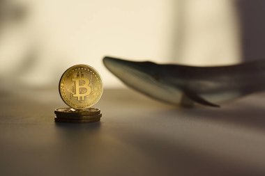 Bitcoin currencies with whale, controlled financial market concept.
