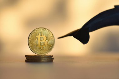 Bitcoin gold coin with a whale's tail, concept whales control the market
