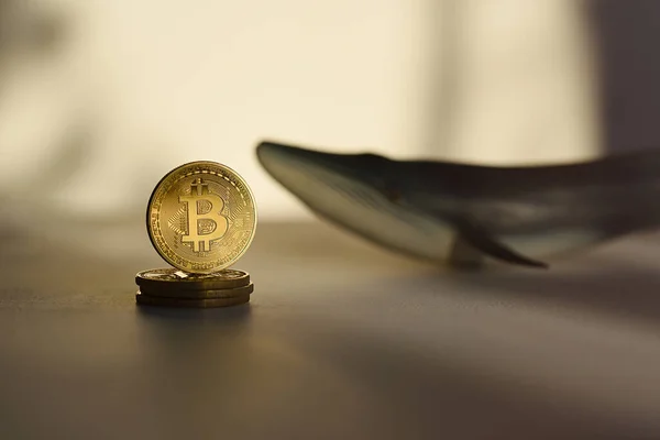 Bitcoin currencies with whale, controlled financial market concept.