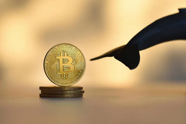 Bitcoin gold coin with a whale's tail, concept whales control the market