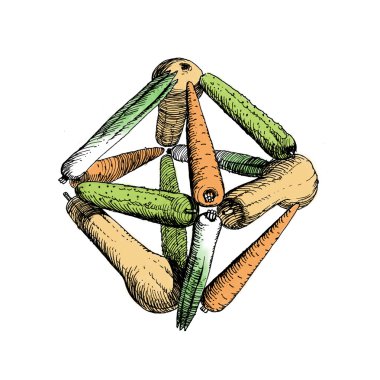  octahedr on of vegetables-5  clipart