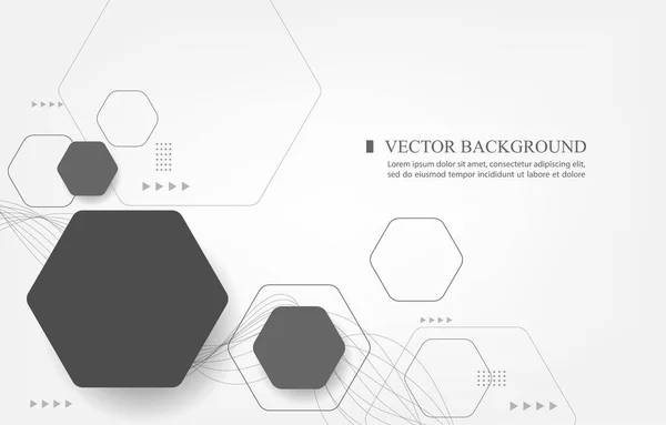 White Vector Wallpapaper Geometric Hexagon Shape Infographic Hexagon — Stock Vector
