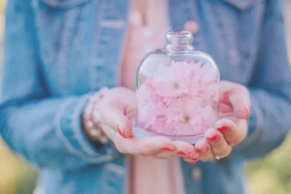 Folhas Flores Cereja Nas Mãos Sakura Imagens De Bancos De Imagens Sem Royalties