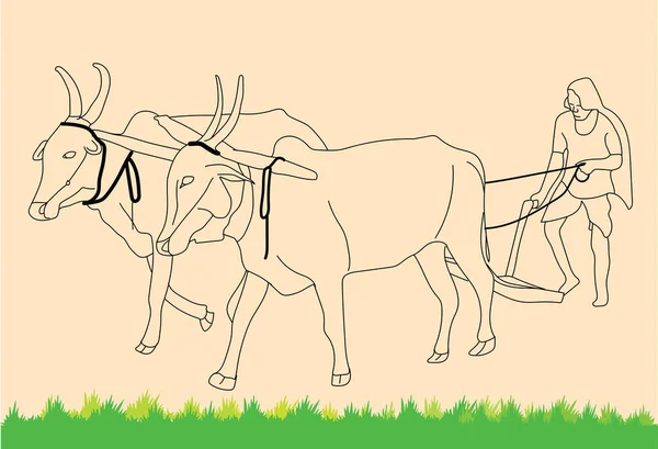 Силуетний Малюнок Або Ескіз Підготовки Землі Фермера Сільського Господарства Биками — стоковий вектор