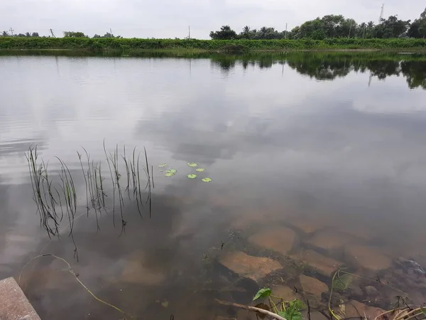 Closeup Beautiful Lake Pond Countryside Channapatna Bevoor Pond Rural Bus — Stock Photo, Image