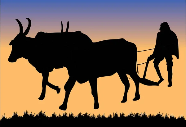 Dibujo Tierra Preparada Para Agricultor Agrícola Con Toros Antecedentes Naturales — Vector de stock