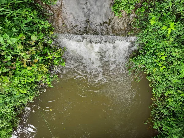 森林中带有绿色背景的池塘或小水坝中的少量力水流闭塞 — 图库照片