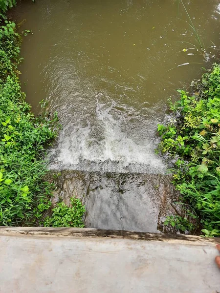 緑の背景を持つ森の中の池や小さなダムから流れる少量の力水の閉鎖 — ストック写真