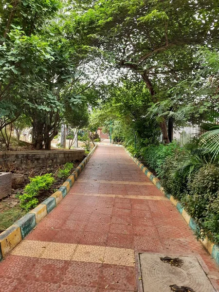 Fechar Belas Estradas Públicas Manhã Noite Dentro Parque Bem Conservado — Fotografia de Stock