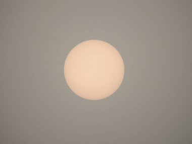 Güzel bir cephe manzarasına yakın, sisli bir günde, ağaç dalları ve gökyüzünün ve yolların önündeki kuşlar