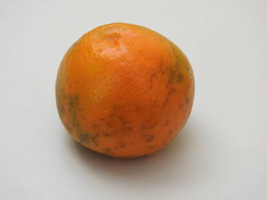 Yığın ve tek Hint portakallı meyvelerin yakın çekimi beyaz arka planda izole edilmiştir.