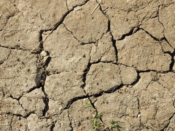 Closeup of Indian dry land with cracks background in the agriculture or pond area.