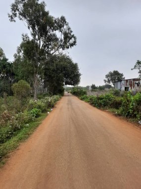 Bangalore, Karnataka, India-Dec 15, 2021: Closeup of beautiful asphalt and sand road in a rural with nature background