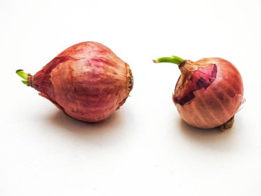 Closeup of red onions with young leaves bud isolated on white background