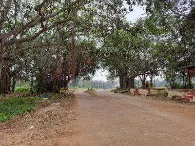 Caddenin büyük Banyan Ağacı tarafı arasındaki güzel Hint asfalt yolunun yakınına..