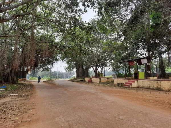 Zbliżenie Pięknej Indyjskiej Drogi Asfaltowej Pomiędzy Ogromną Banyan Tree Stronie — Zdjęcie stockowe