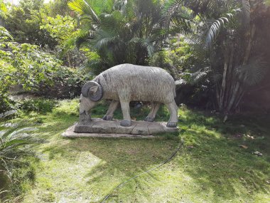 Bangalore, Karnataka, Hindistan-Aug 19, 2021: Begur 'daki güzel Bande Park veya Stone Park' a yakın çekim