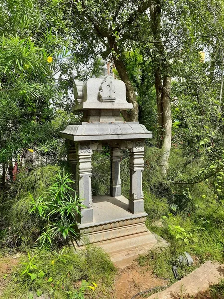 Bangalore Karnataka Indien Aug 2021 Nahaufnahme Des Schönen Bande Park — Stockfoto