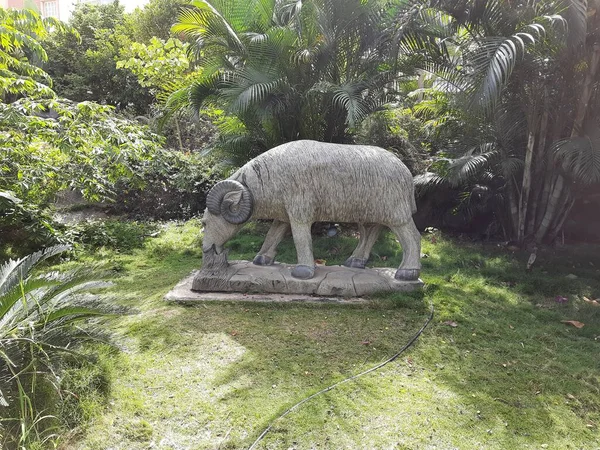 Bangalore Karnataka Índia Aug 2021 Encerramento Belo Bande Park Stone — Fotografia de Stock