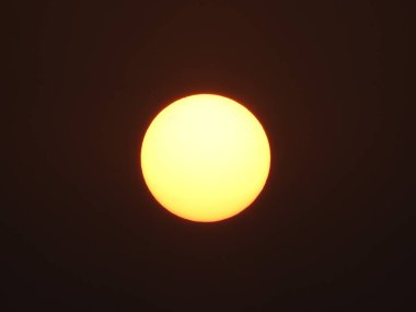 Güneş doğuşunun güzel manzarasına yakın. Ağaç dalları silueti bir doğa arka planında.