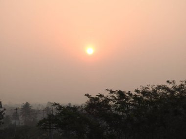 Güneş doğuşunun güzel manzarasına yakın. Ağaç dalları silueti bir doğa arka planında.
