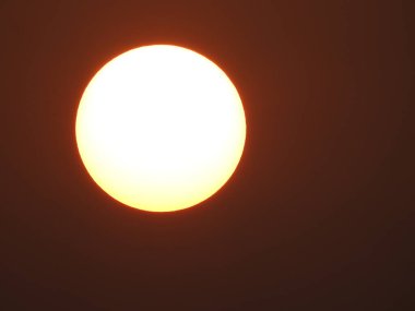 Güneş doğuşunun güzel manzarasına yakın. Ağaç dalları silueti bir doğa arka planında.