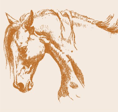 Koşan At ana hatlarının çizimi veya çizimi düzenlenebilir illüstrasyon