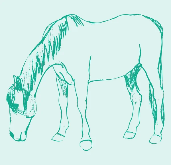 Disegno Schizzo Corsa Schema Del Cavallo Illustrazione Modificabile — Vettoriale Stock
