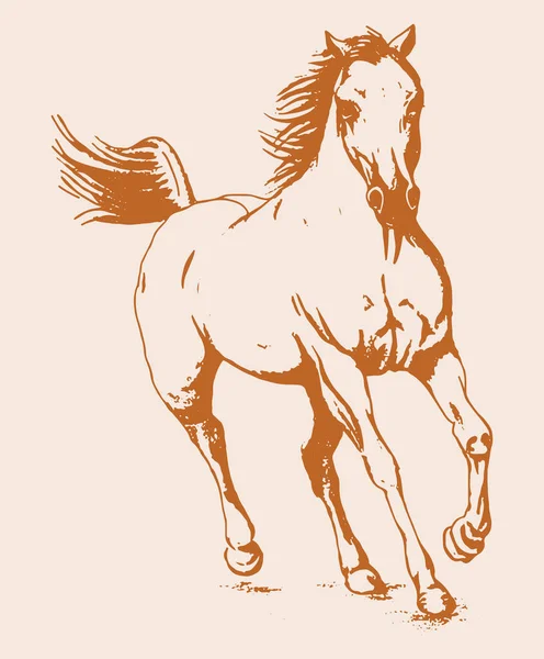 Dibujo Boceto Correr Esquema Del Caballo Ilustración Editable — Vector de stock