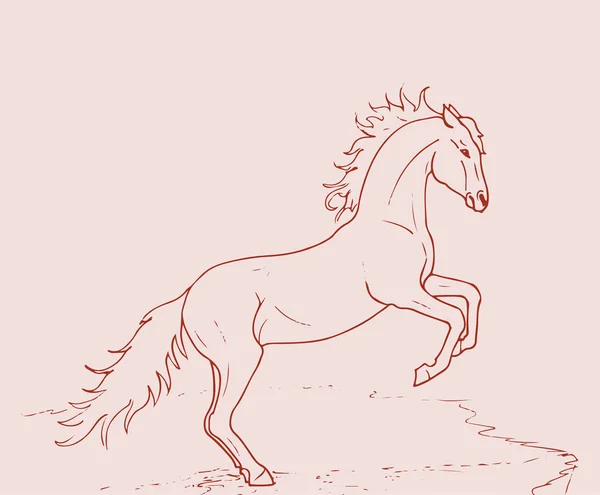 馬のアウトライン編集可能なイラストの描画またはスケッチ — ストックベクタ