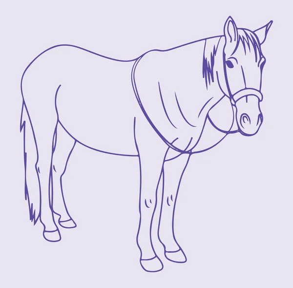 Ritning Eller Skiss Löpning Häst Kontur Redigerbar Illustration — Stock vektor