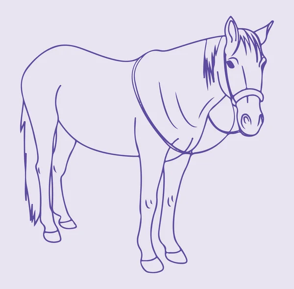 Dibujo Boceto Correr Esquema Del Caballo Ilustración Editable — Vector de stock