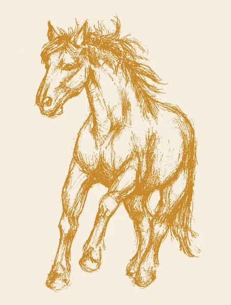 馬のアウトライン編集可能なイラストの描画またはスケッチ — ストックベクタ