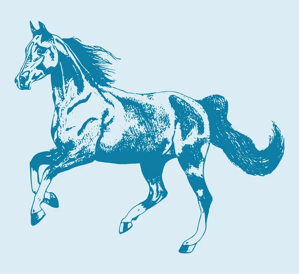 Kresba Nebo Náčrt Běžícího Obrysu Koně Upravitelná Ilustrace — Stockový vektor